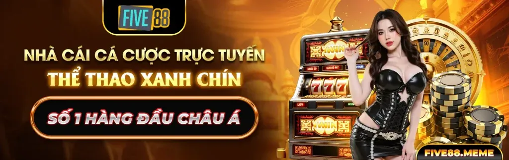 Hoàn trả hàng tuần hấp dẫn cho cá cược đá gà